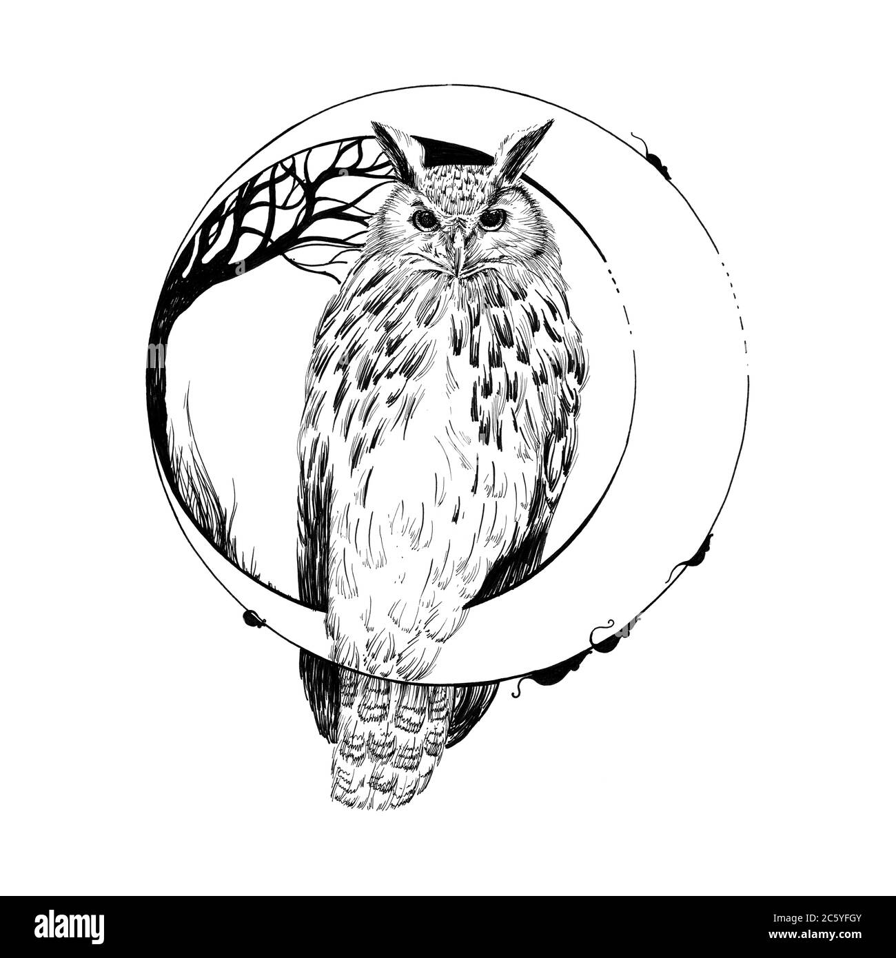 Buho De Dibujos Animados Blanco Y Negro Imagenes De Stock En Blanco Y Negro Alamy Buho De Dibujos Animados Blanco Y Negro Imagenes De Stock En Blanco Y Negro Alamy