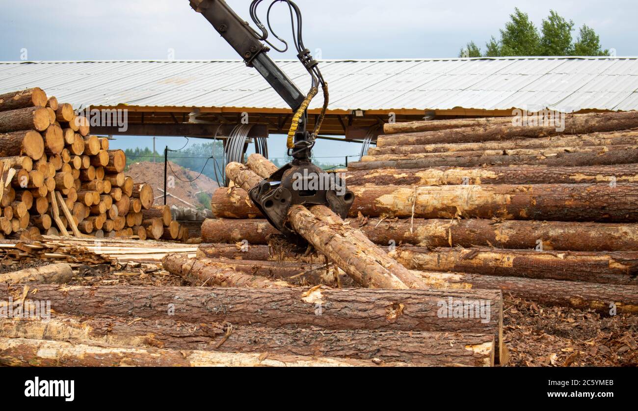 Madereo, aserradero. Manipulador para cargar madera. El cargador de