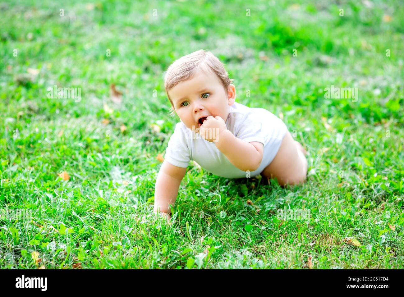 Lindo niño en mono blanco aprende a gatear. Un niño pequeño sano se  arrastra sobre hierba verde en verano Fotografía de stock - Alamy