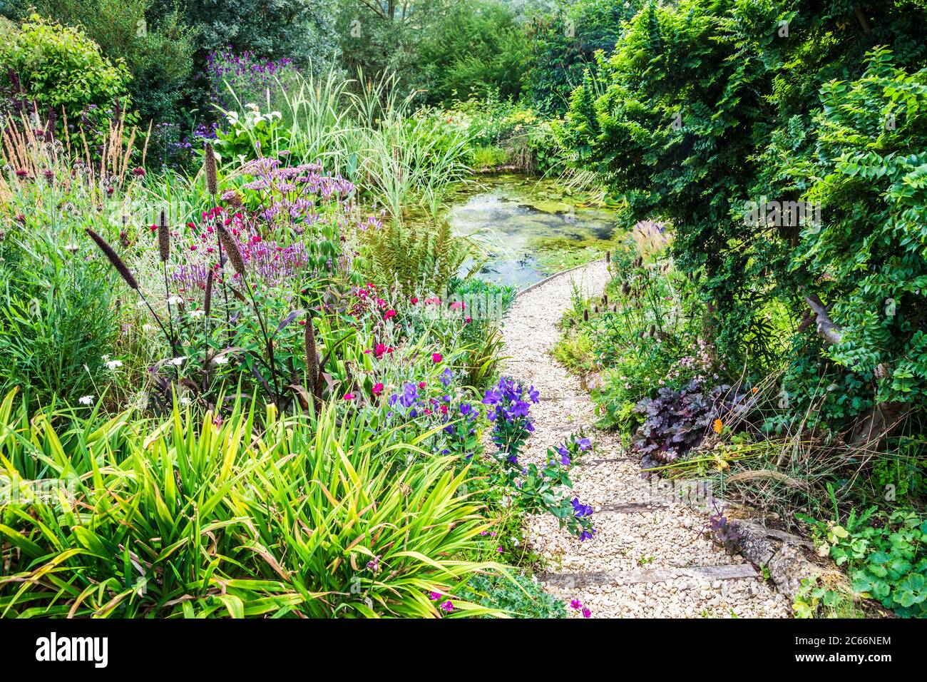 Camino de grava a través de un exuberante jardín de crecimiento que conduce a un estanque. Foto de stock