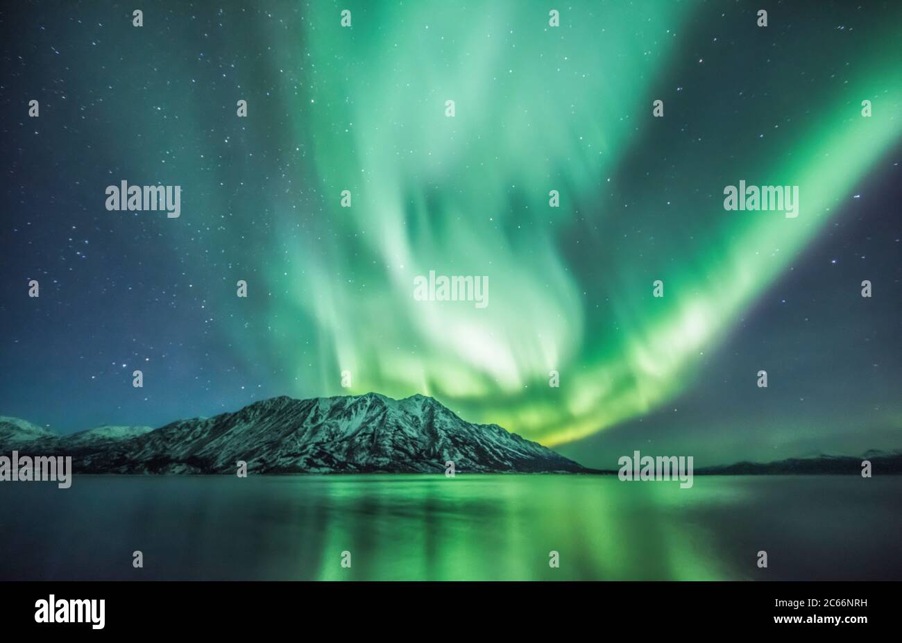 Las luces del norte bailan en el cielo, Territorio de Yukon, Canadá Foto de stock