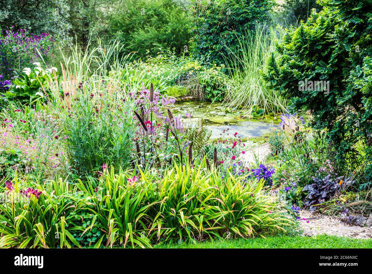 Camino de grava a través de un exuberante jardín de crecimiento que conduce a un estanque. Foto de stock