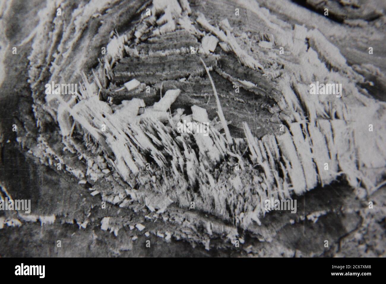 Fotografía de estilo de vida en blanco y negro de la época de los 70 de un patrón natural se convirtió en una idea y noción abstractas. Foto de stock