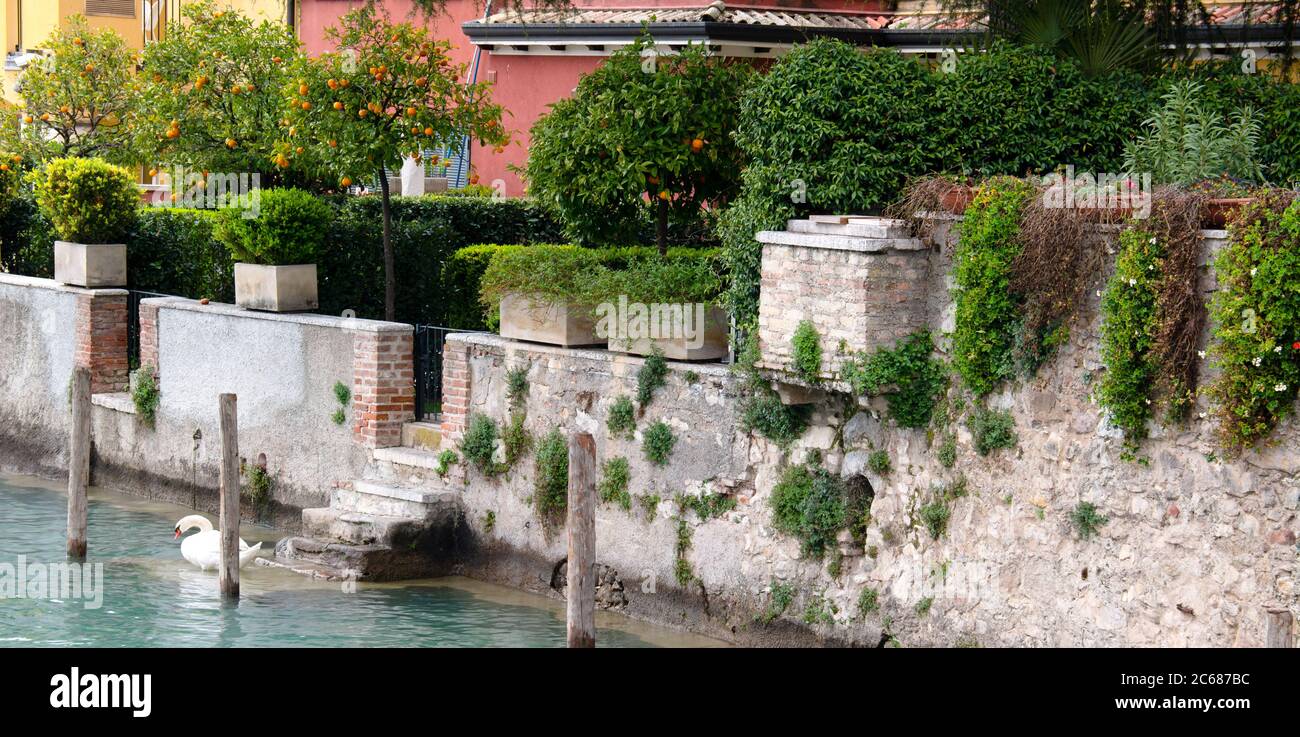 Vista de las propiedades frente al mar y el cisne en el lago, Lago Garda, Sirmione, Lombardía, Italia Foto de stock