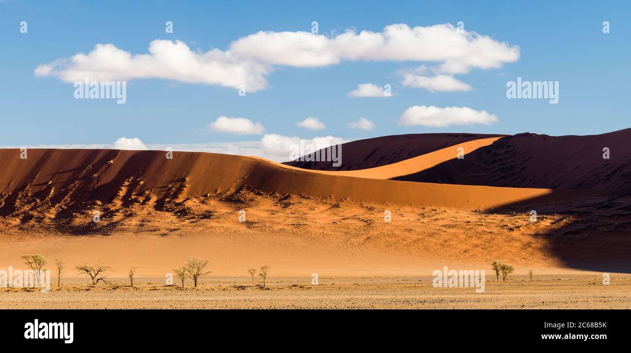 Vista de las dunas, Sossusvlei, Parque Nacional Namib-Naukluft, Namibia, África Foto de stock