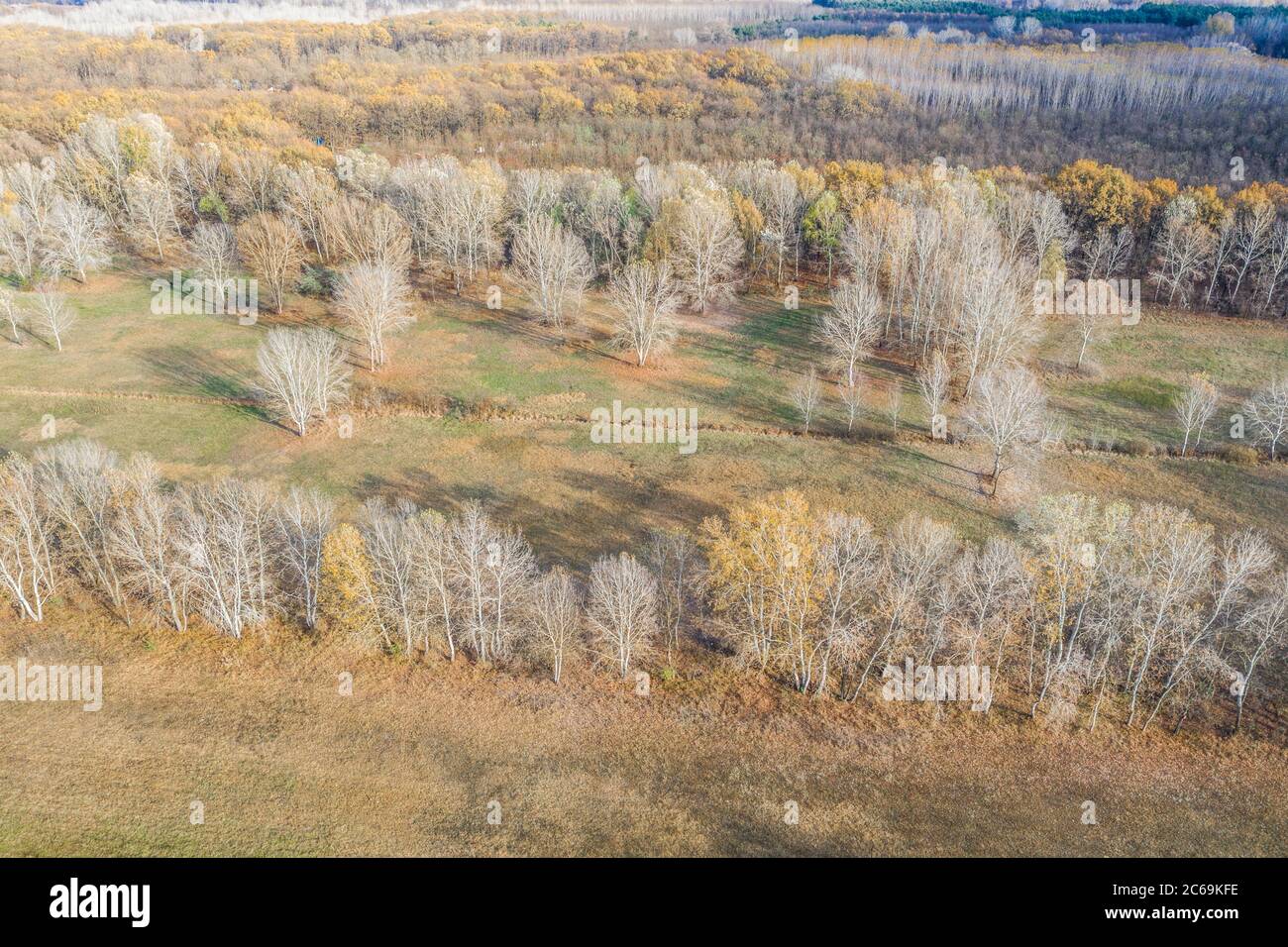 Paisaje seco otoñal, vista aérea de campo y bosque, paisaje artístico. Vista aérea desde arriba del campo en otoño. Textura de campo en otoño Foto de stock