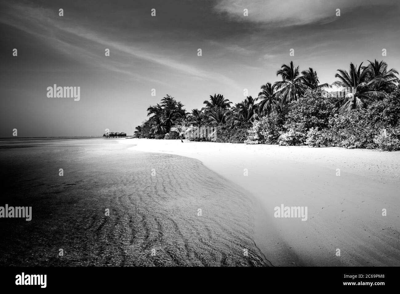 Blanco y negro paisaje abstracto de playa tropical. Isla Paraíso, con arena de mar tranquila y palmeras, artístico dramático blanco y negro monocromo Foto de stock