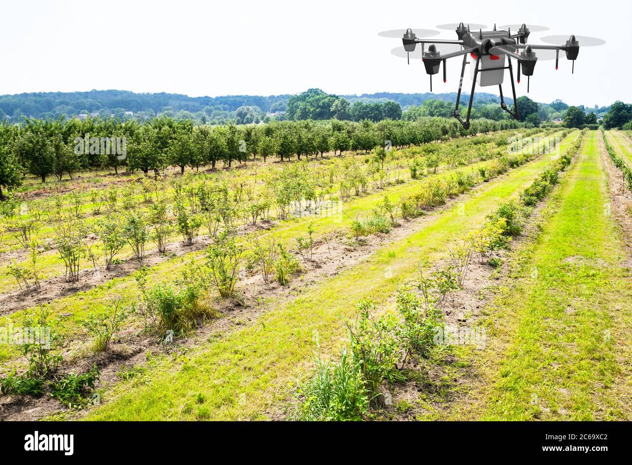 Agricultura Industria Tecnología agrícola en campo vegetal o granja Foto de stock