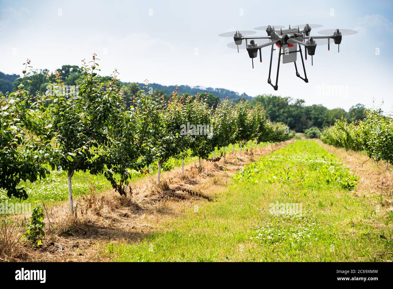Agricultura Industria Tecnología agrícola en campo vegetal o granja Foto de stock