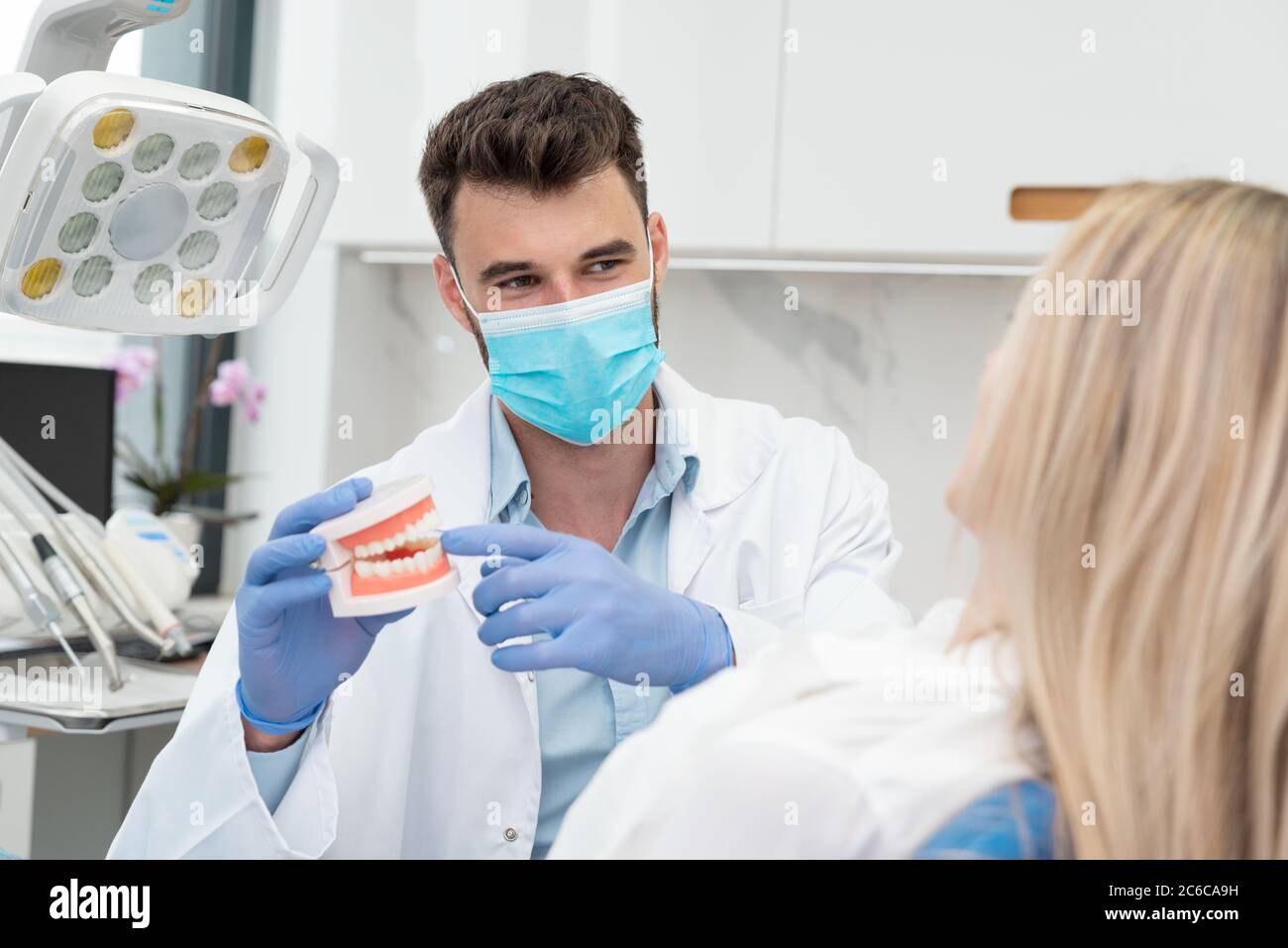 Dentista que sostiene la mandíbula muestra el diente. Consulta profesional en clínica dental Foto de stock