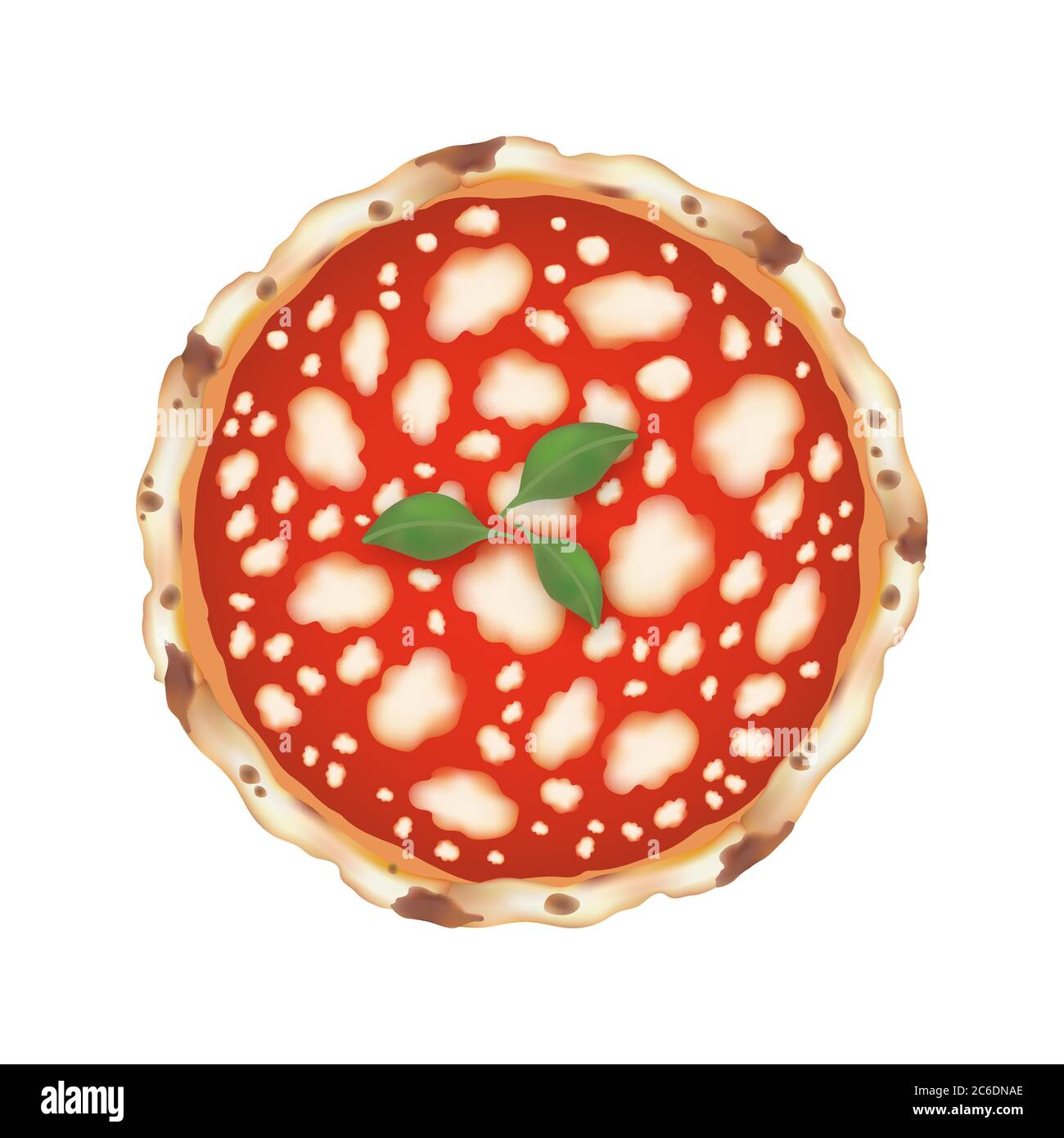 Pizza Margherita aislada sobre fondo blanco en formato vectorial Ilustración del Vector