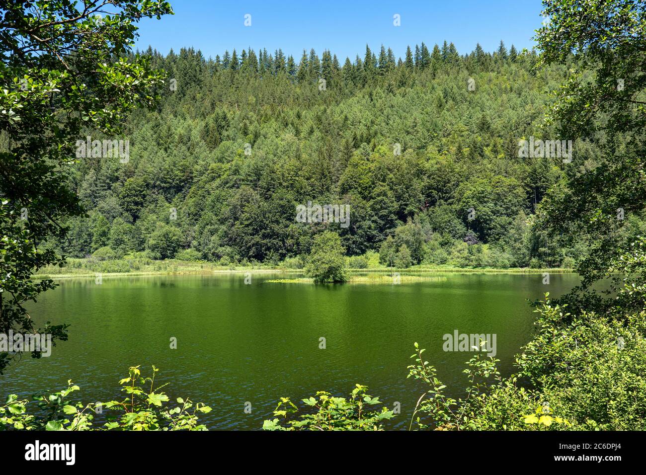 Lago Sankenbachsee en la Selva Negra, Alemania desde el lado sur Foto de stock
