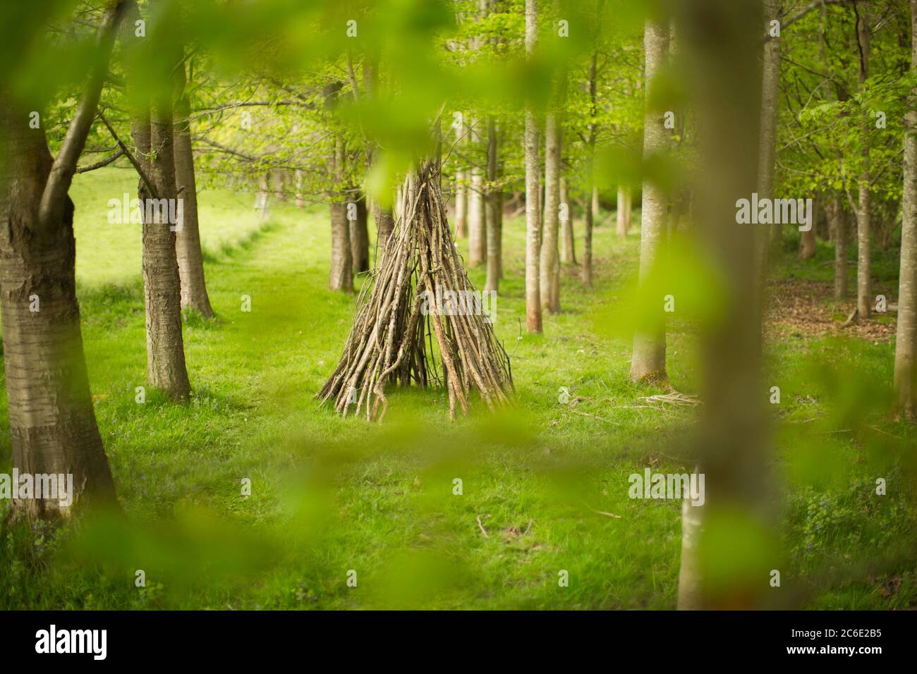 Branch teepee en el bosque Foto de stock