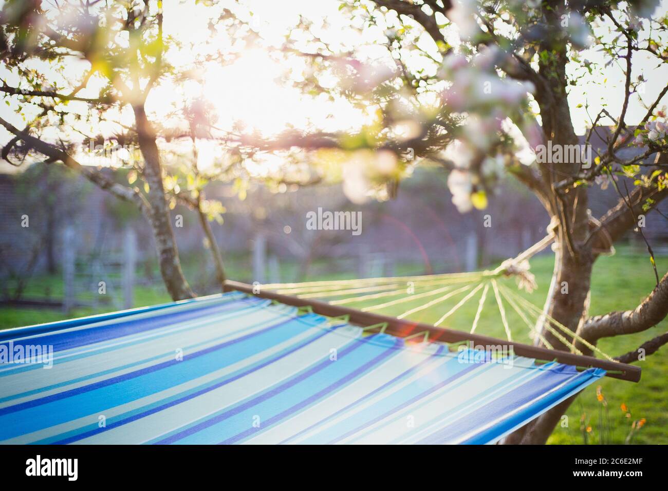 Hamaca en el soleado jardín idílico Foto de stock