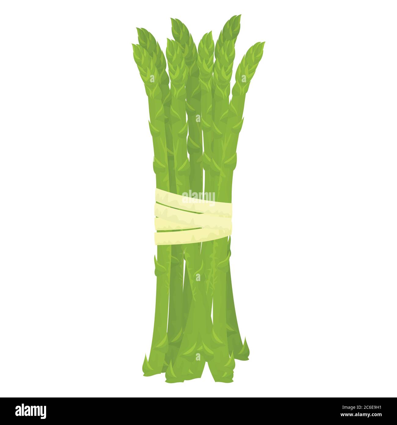 Dibujo de dibujos animados icono de espárragos verdes orgánicos frescos.  Ilustración vectorial Imagen Vector de stock - Alamy