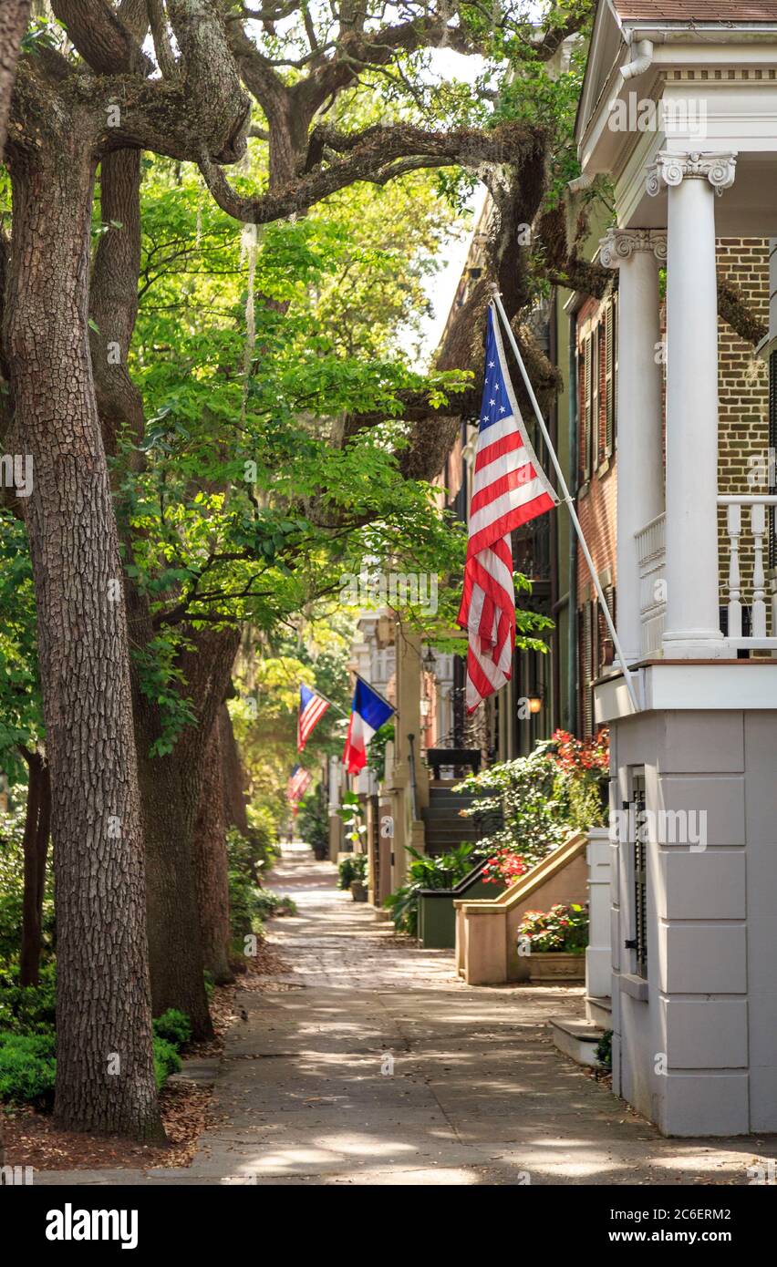 Historic District Street bordeada de Casas en la fila en Spring, Savannah, Georgia Foto de stock