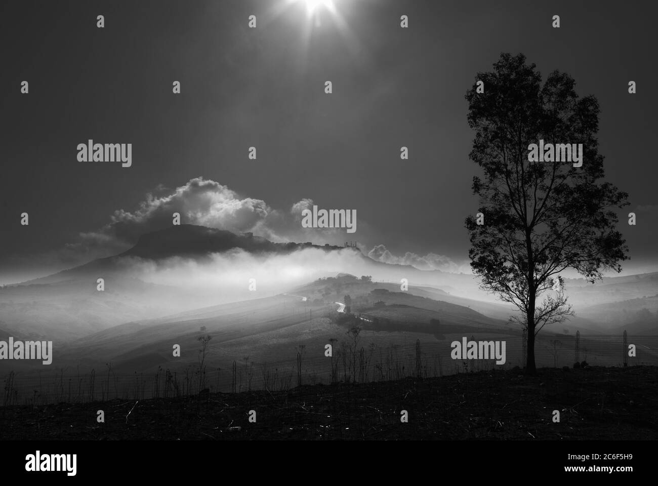 Luz dramática en el campo de Sicilia, paisaje en blanco y negro Foto de stock