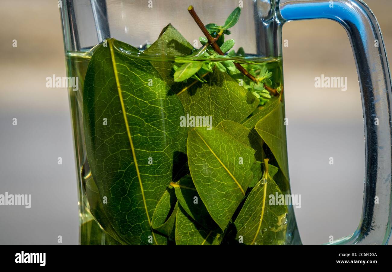 cierre de una taza de vidrio con té, mate de coca, hojas de coca y