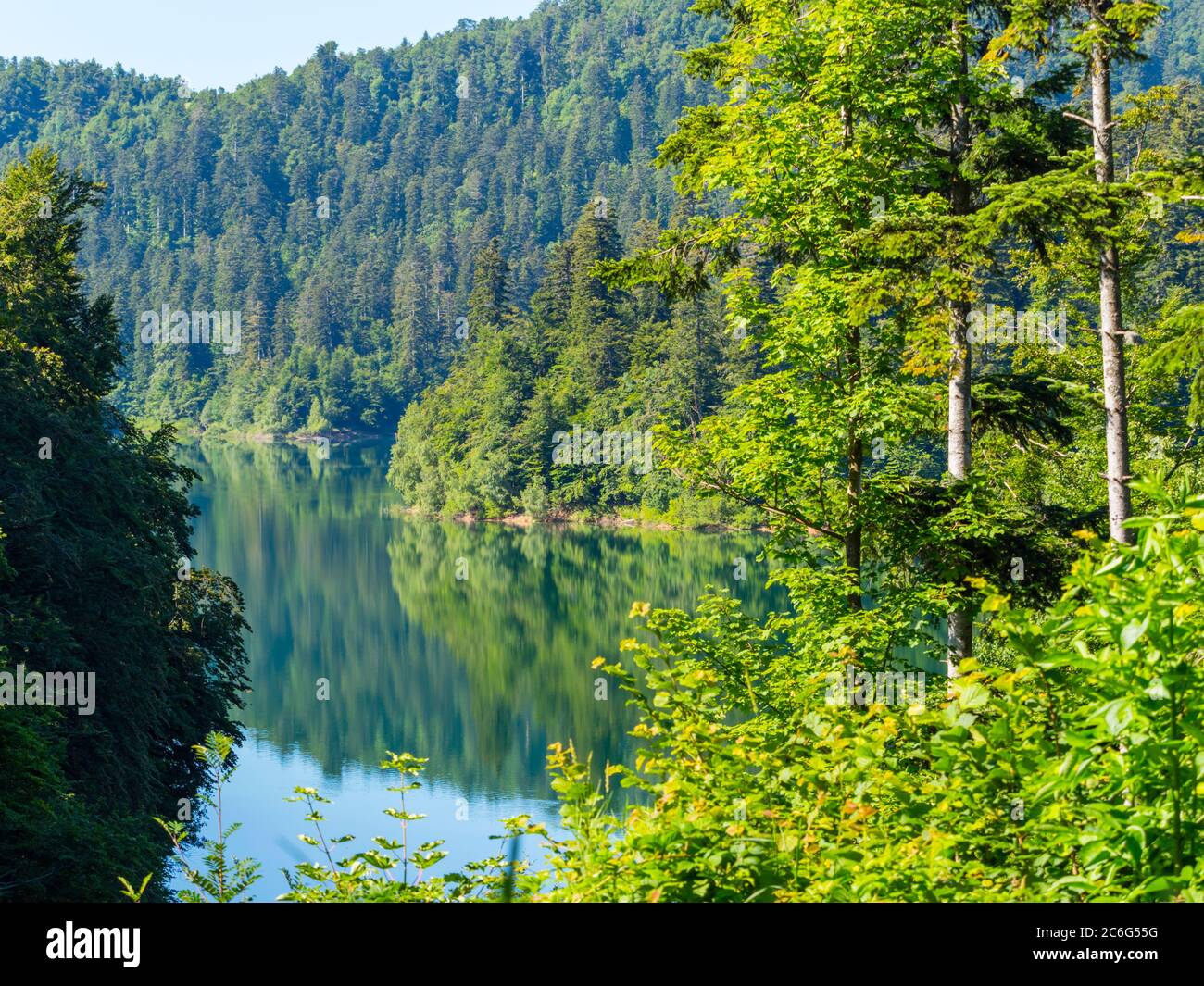 Majestuoso Bosque verde mañana calma calma serenidad espejo imágenes reflejo a lo largo de la costa Lokve lago Lokvarsko jezero Croacia Europa Foto de stock