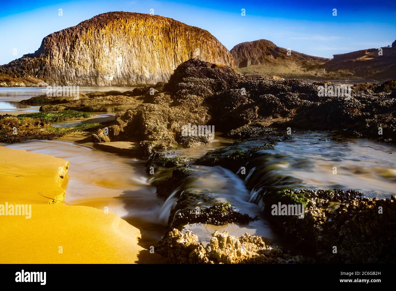 Seal Rock, costa de Oregón Foto de stock