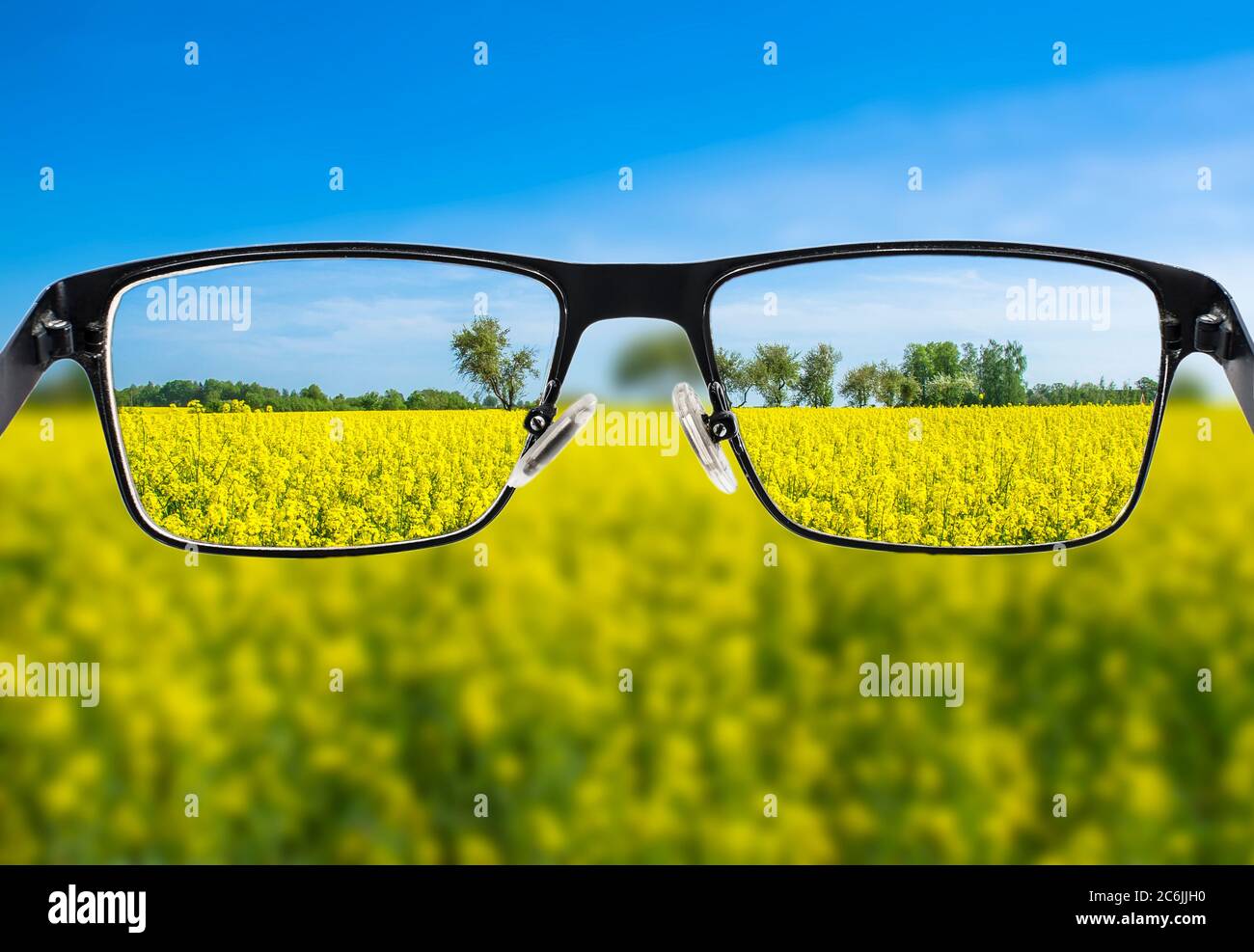 Imagen enfocada del campo amarillo en el marco de las gafas. Mejor concepto de visión. Foto de stock