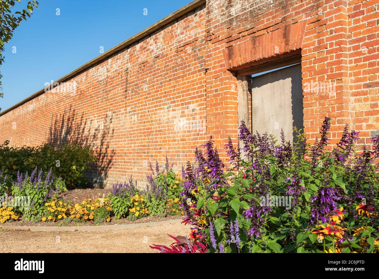 Vista de foco poco profundo de hermosas flores rojas que crecen en un lecho de flores adyacente a un jardín amurallado. Se puede ver un camino que conduce a un área cubierta de hierba. Foto de stock