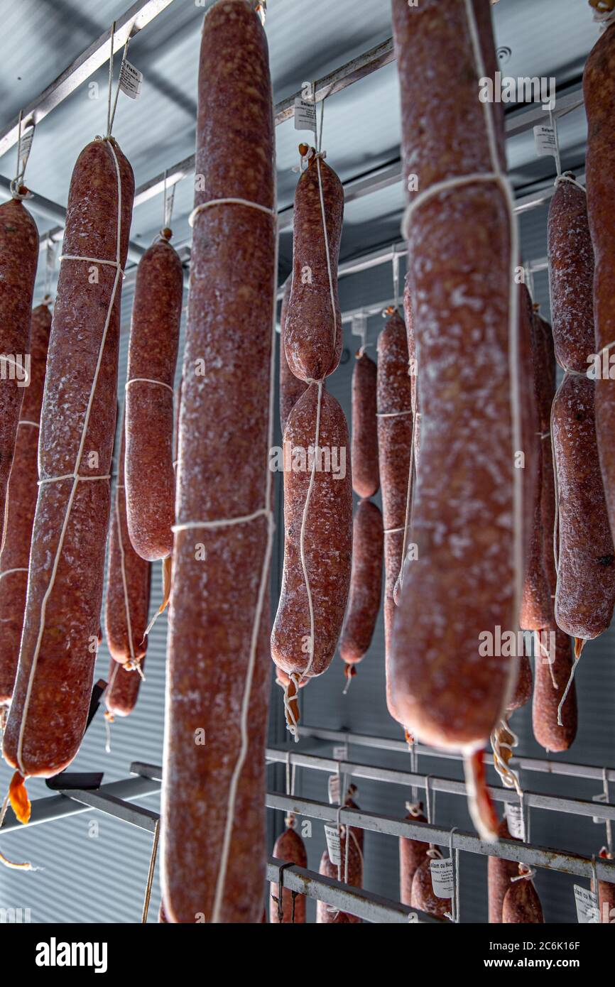 Salami en el almacén, utilizando un cultivo de moho para comenzar el