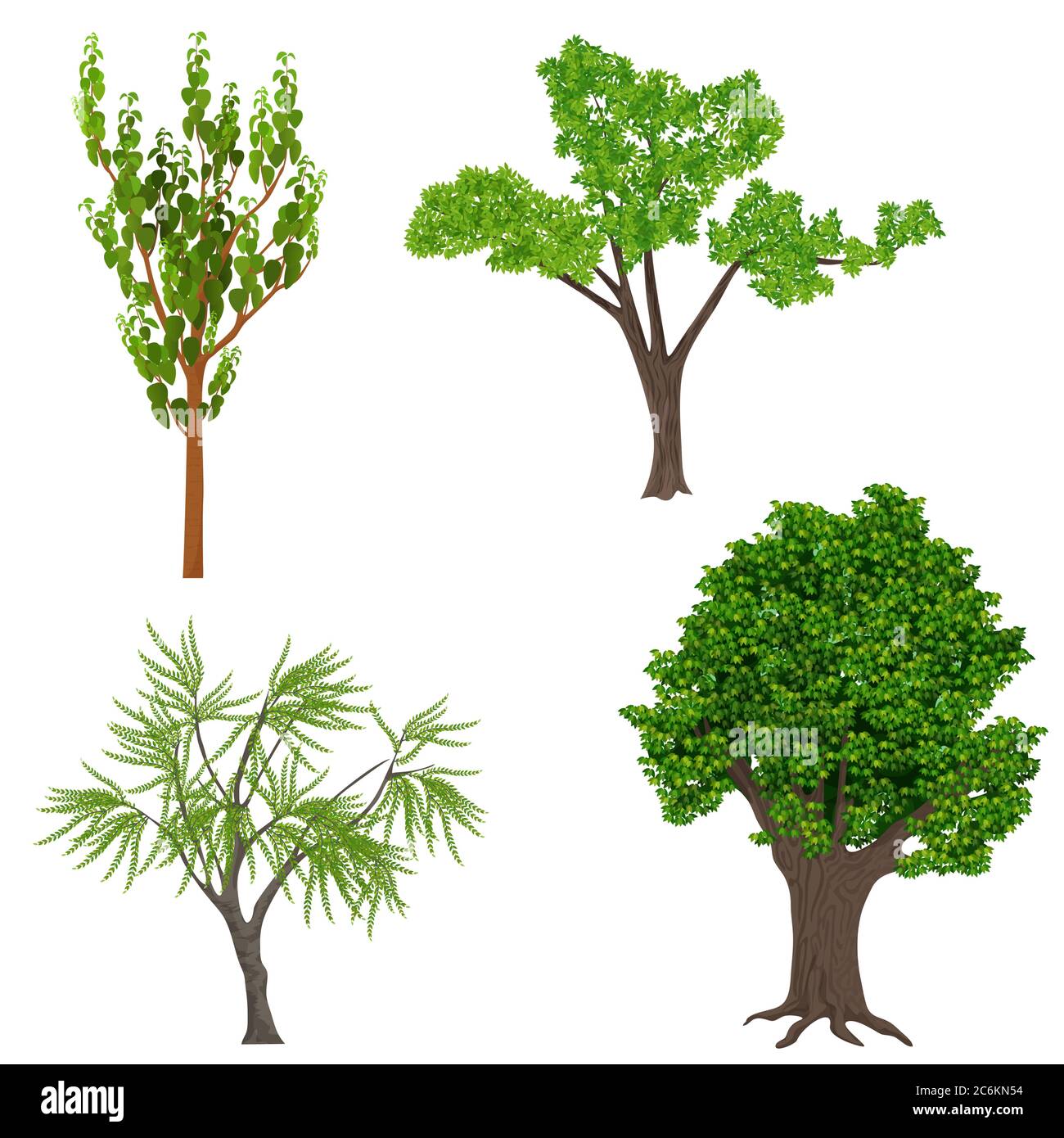 Los árboles de dibujos animados realistas muy detallados. Elementos de iconos de bosque de madera Ilustración del Vector