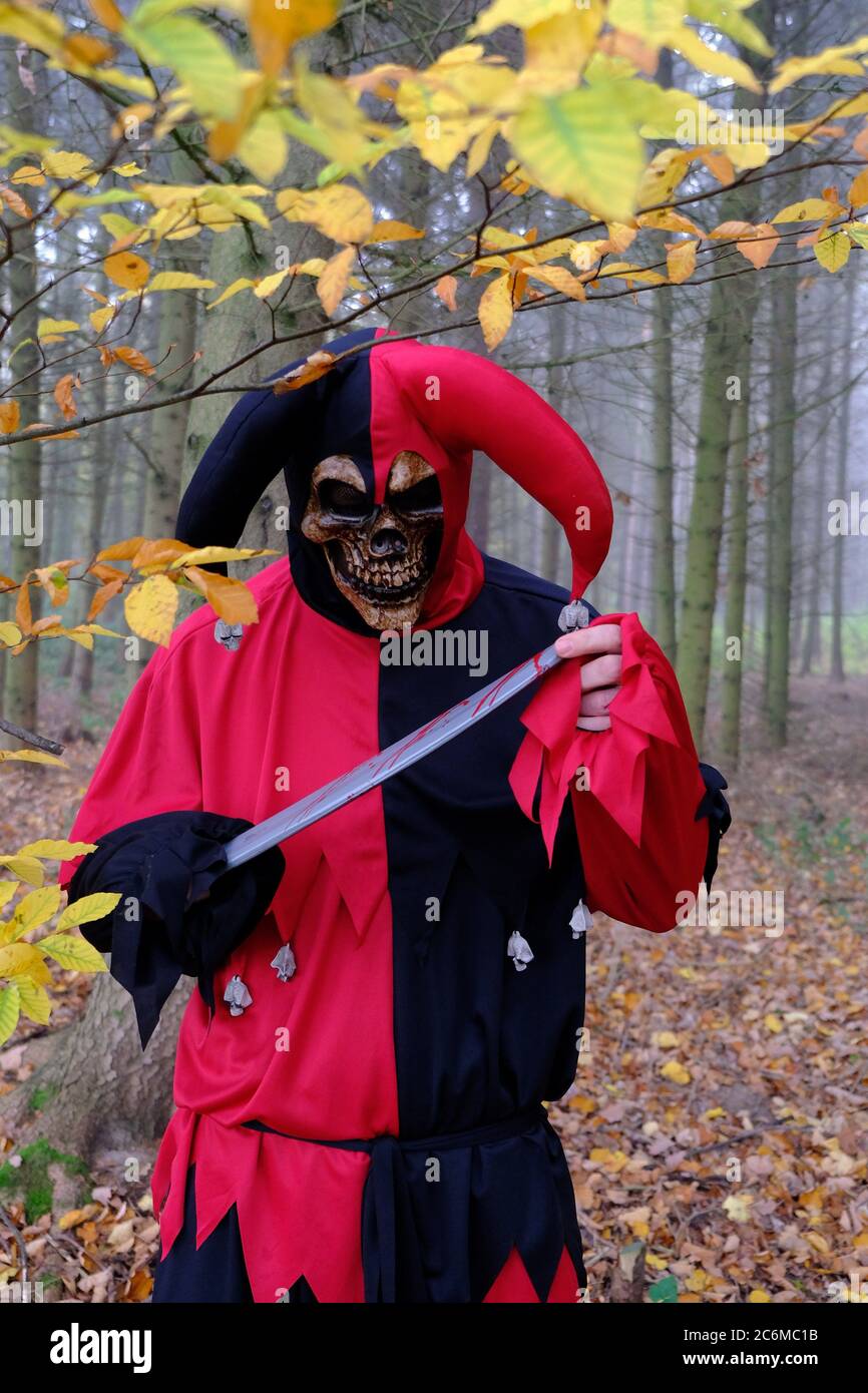 Concepto de vacaciones de Halloween. el mal harlequin en el bosque de otoño  en la niebla.un hombre en un traje de malvado terrible bufón con un  cuchillo. Cosplay de payaso malo cos