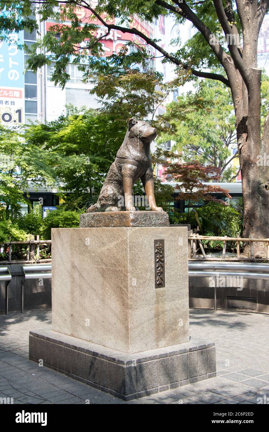 Monumento de hachiko fotografías e imágenes de alta resolución Alamy