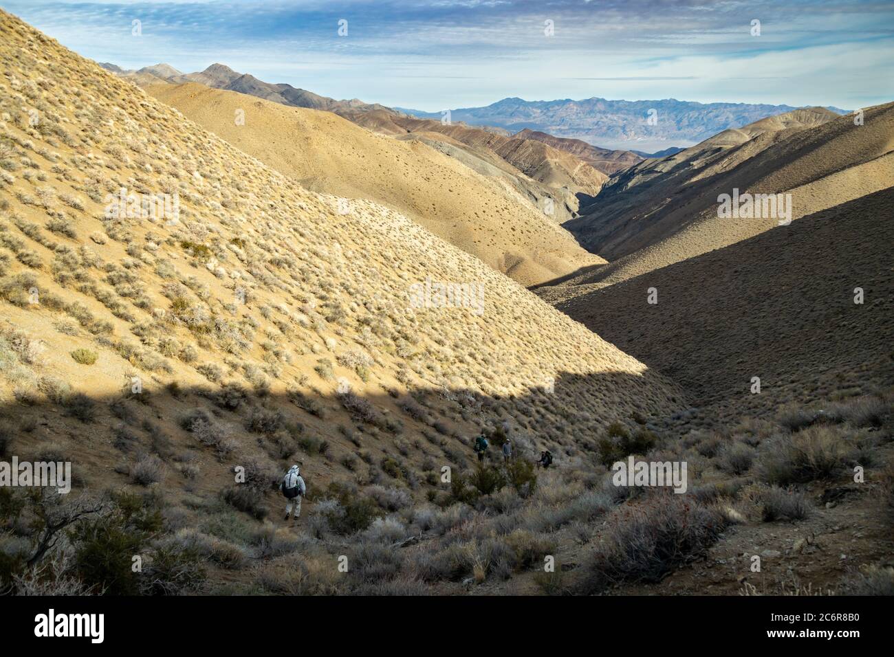 Cuatro excursionistas masculinos descienden al cañón Deadhorse, parte del circuito de excursionismo de Cottonwood Canyon-Marble Canyon en el Parque Nacional del Valle de la muerte Foto de stock