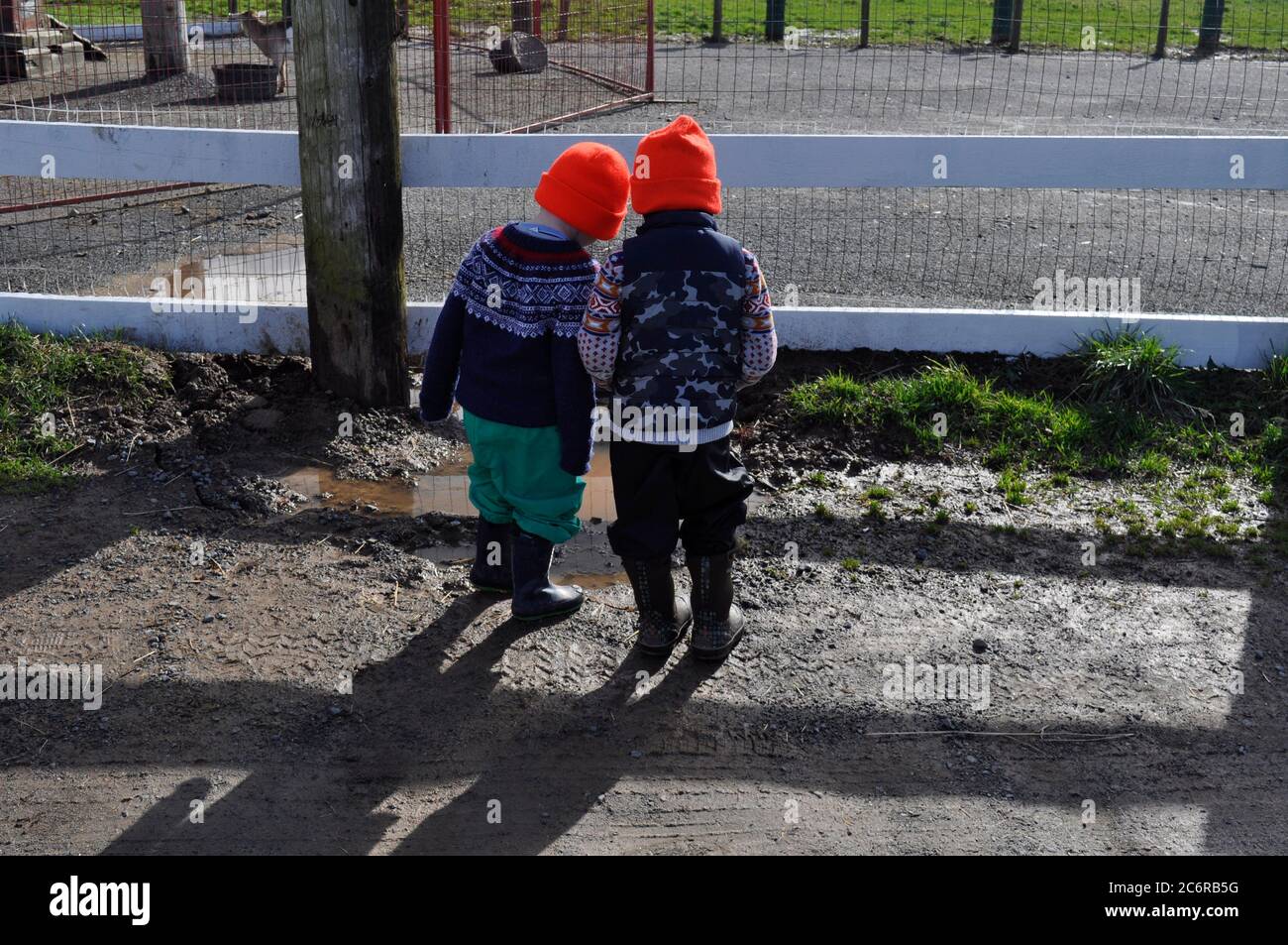 Dos niños pequeños que usan sombreros de naranja de pie fuera de un recinto en una granja que acepta mascotas, Nueva Escocia, Canadá. Al aire libre. El día del invierno Foto de stock
