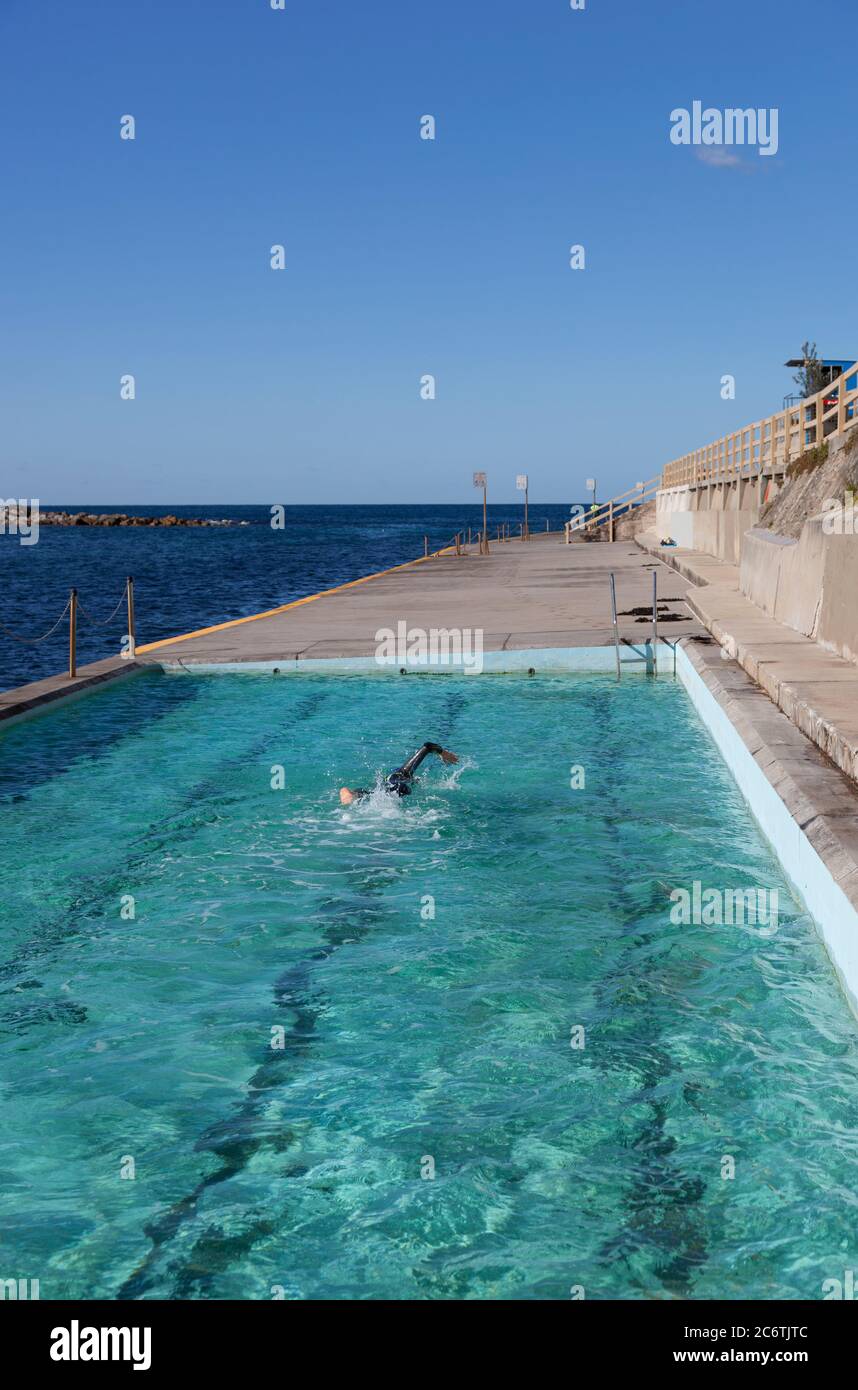 Un nadador solitario haciendo vueltas en la piscina del lado del océano en la ensenada de Clovelly en Sydney, Australia Foto de stock