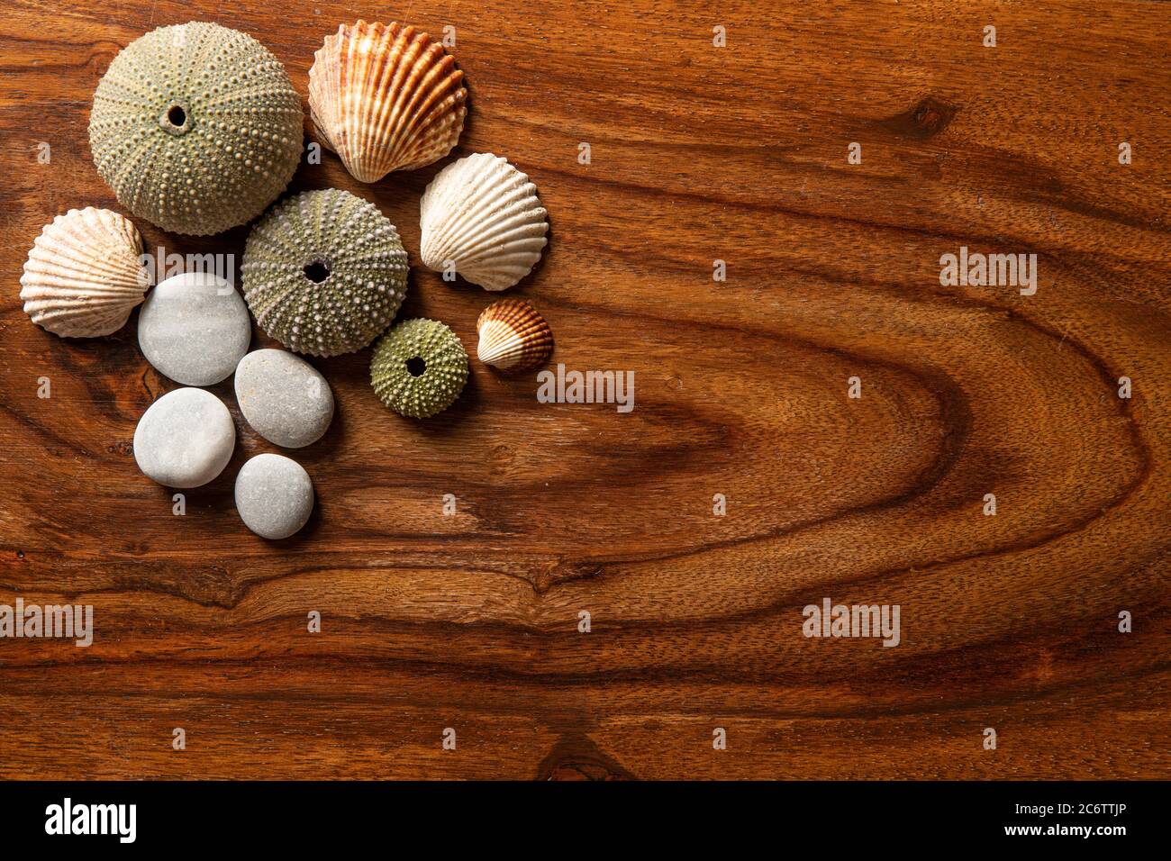 Textura de madera oscura para fondo con conchas marinas y guijarros para decoración Foto de stock