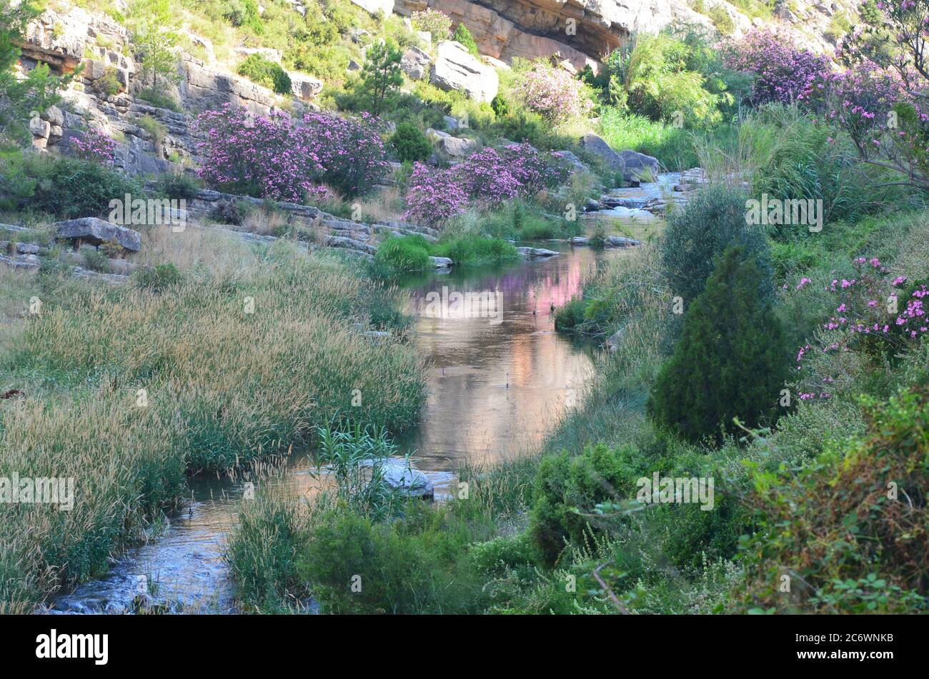 El río Palancia, un ejemplo del río de montaña mediterráneo en la región de Valencia, al este de España Foto de stock