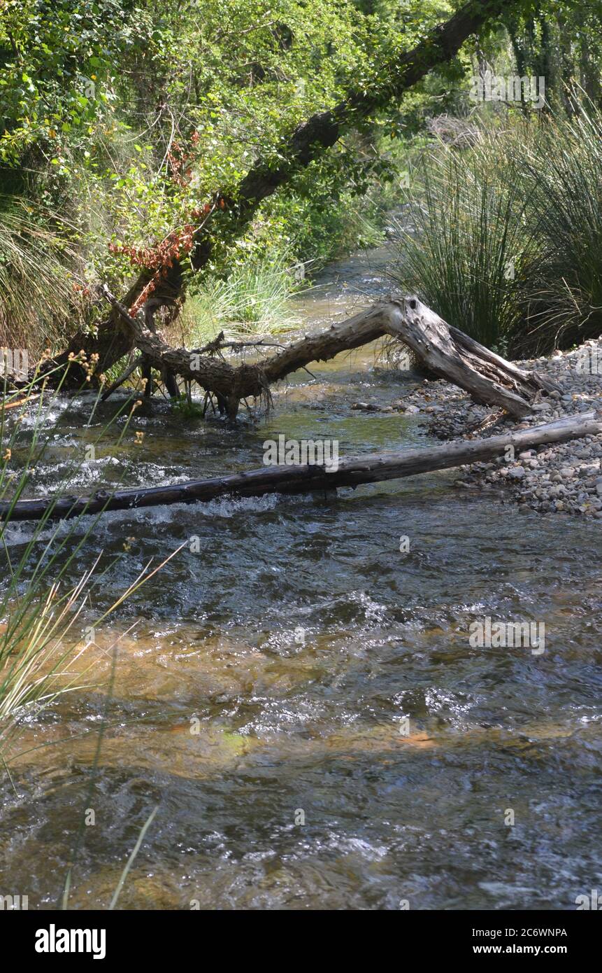 El río Palancia, un ejemplo del río de montaña mediterráneo en la región de Valencia, al este de España Foto de stock