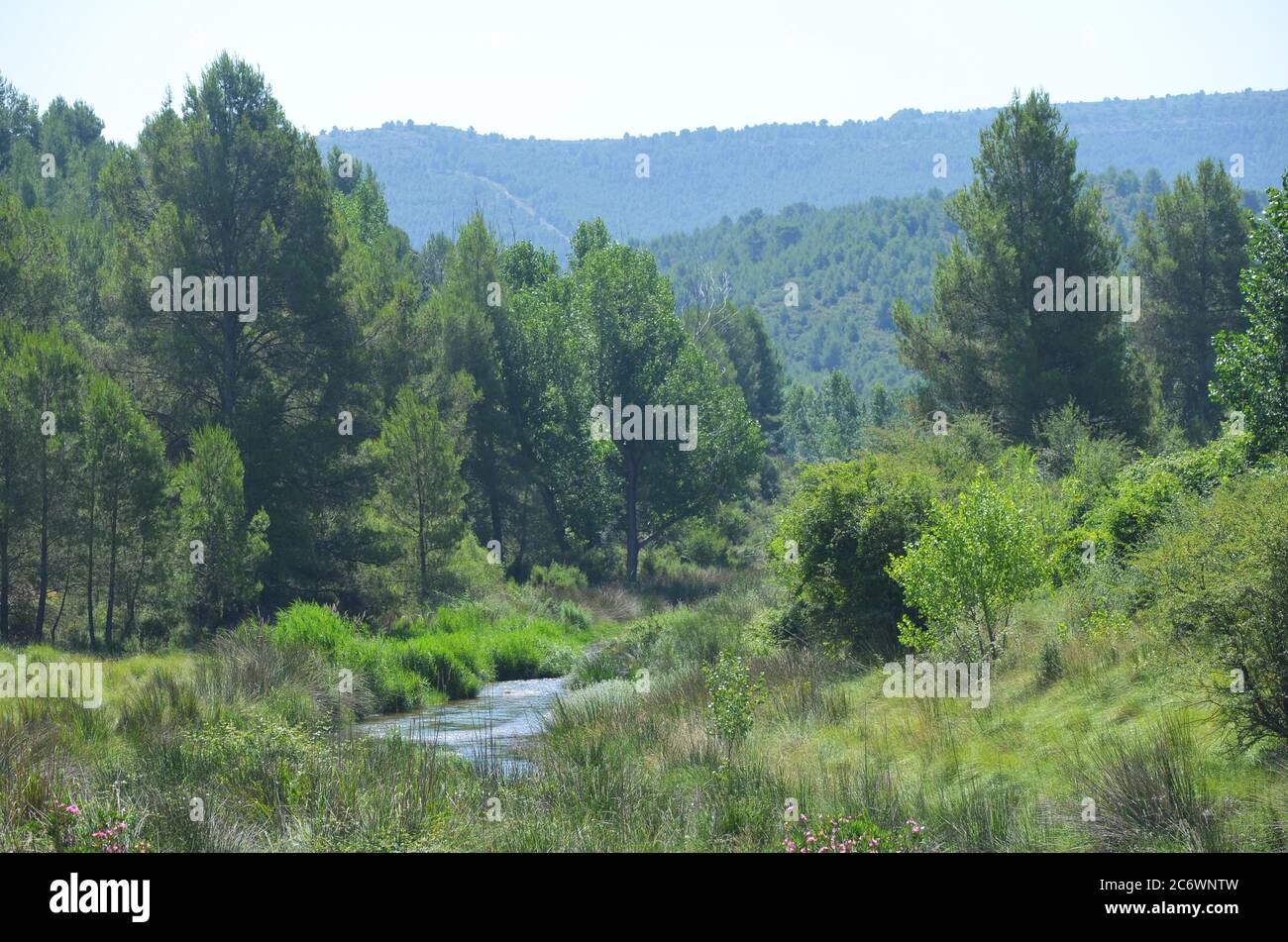 El río Palancia, un ejemplo del río de montaña mediterráneo en la región de Valencia, al este de España Foto de stock