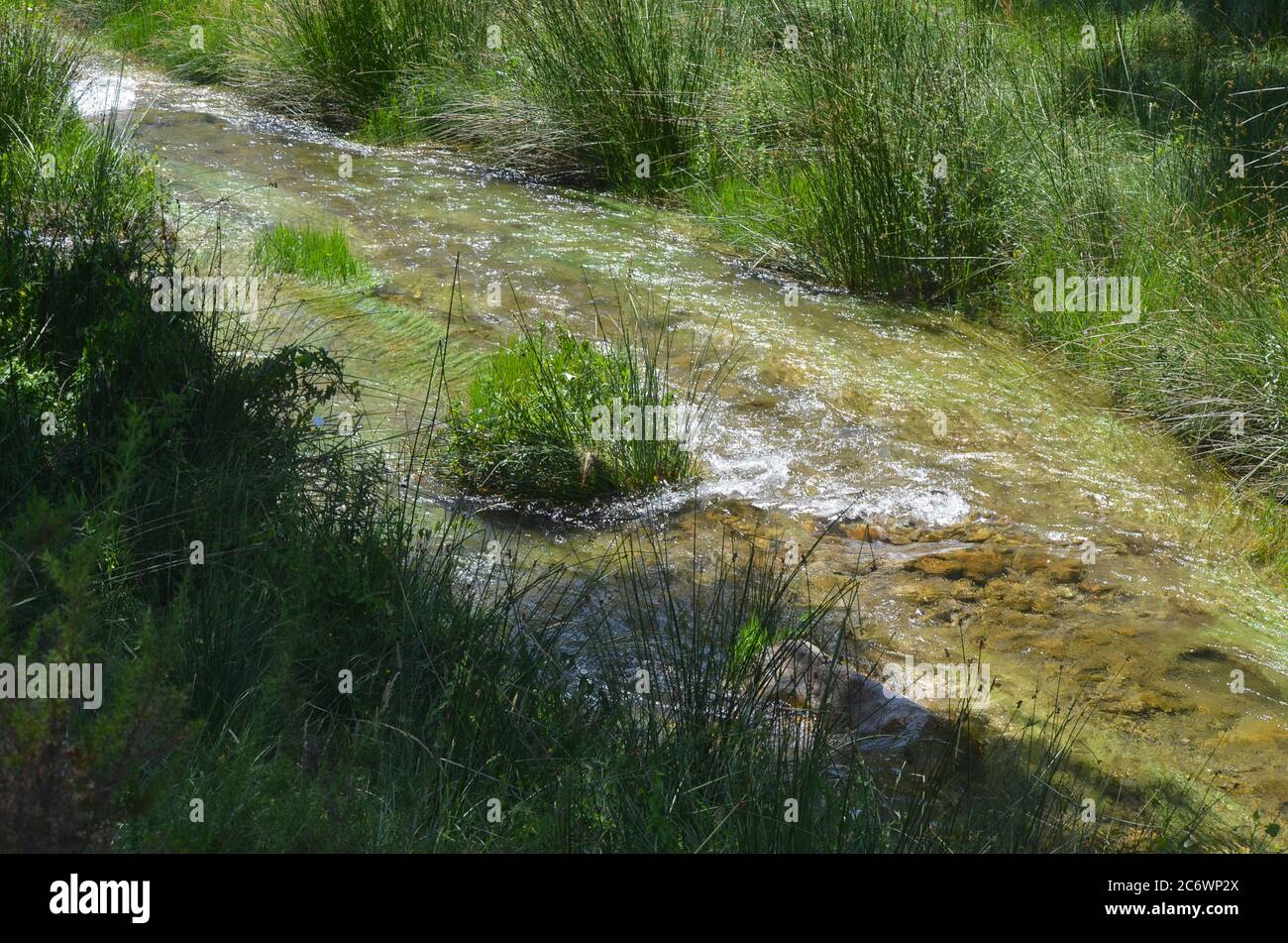 El río Palancia, un ejemplo del río de montaña mediterráneo en la región de Valencia, al este de España Foto de stock