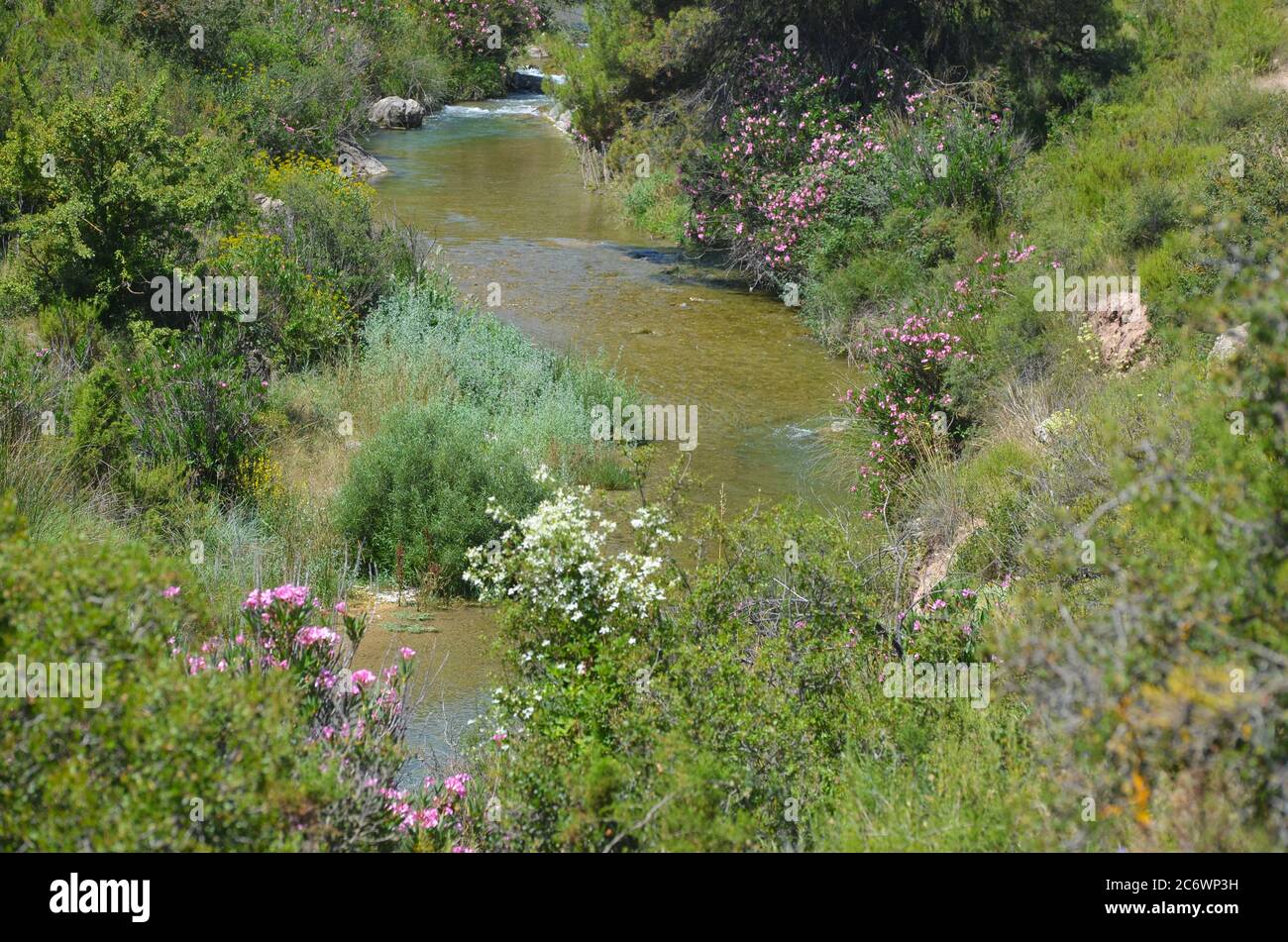 El río Palancia, un ejemplo del río de montaña mediterráneo en la región de Valencia, al este de España Foto de stock