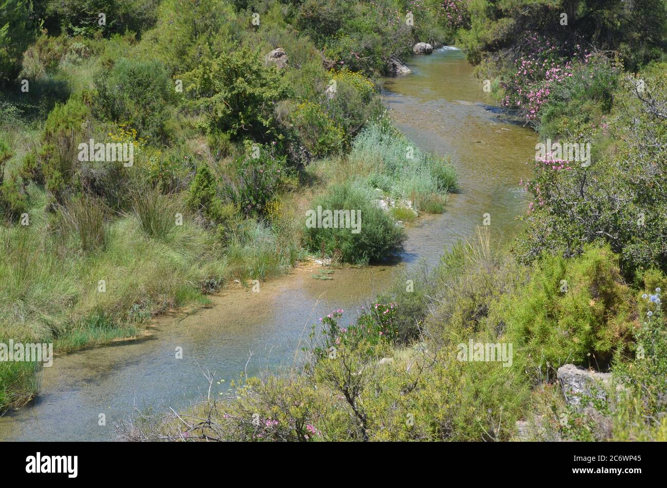 El río Palancia, un ejemplo del río de montaña mediterráneo en la región de Valencia, al este de España Foto de stock