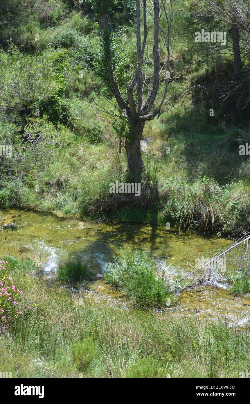 El río Palancia, un ejemplo del río de montaña mediterráneo en la región de Valencia, al este de España Foto de stock