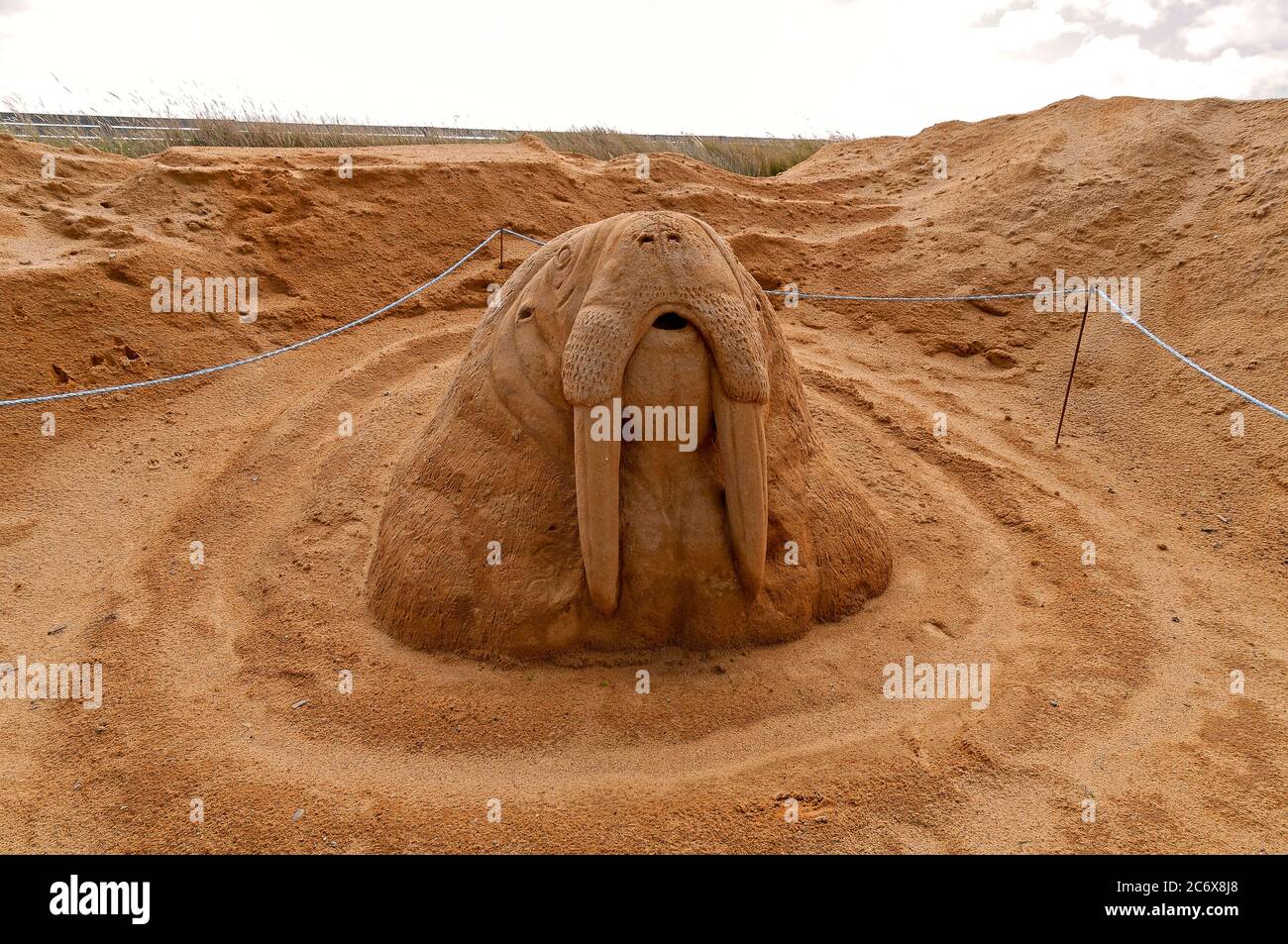 Escultura de arena de una morsa Foto de stock
