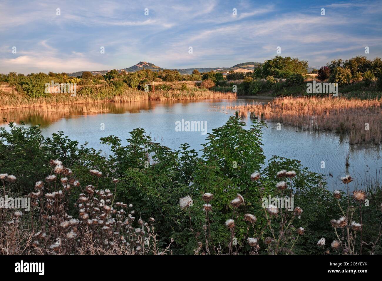 Forlimpopoli, Forli-Cesena, Emilia Romagna, Italia: Paisaje del campo con un estanque y la ciudad de Bertinoro colina en el fondo Foto de stock