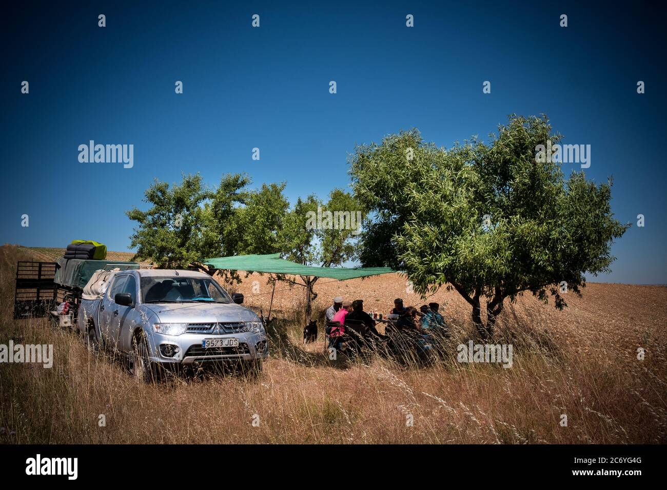Pastores y unos pocos visitantes sentarse para almorzar bajo la sombra