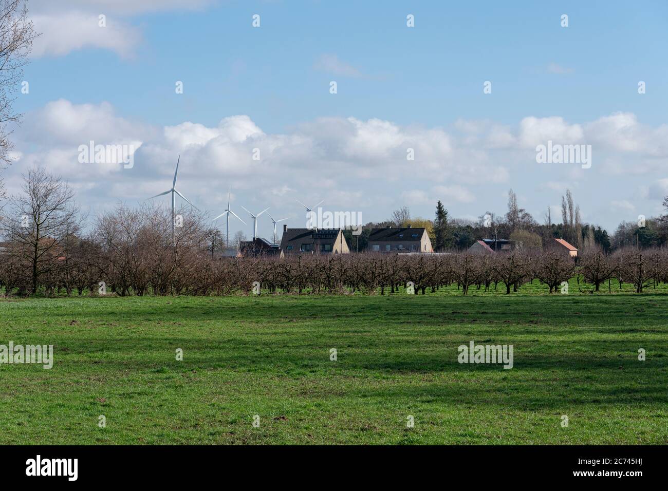 Sint Gillis Waas, Bélgica, 03 de marzo de 2020, Parque del molino en el borde de una zona residencial Foto de stock