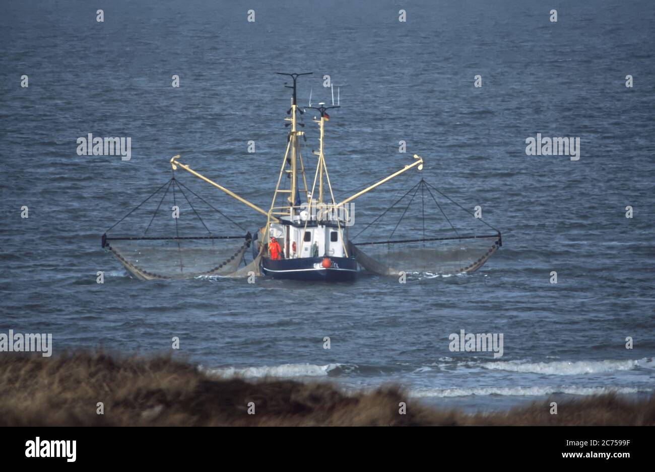 Bota de pesca con sus nidos, cerca de la costa Foto de stock