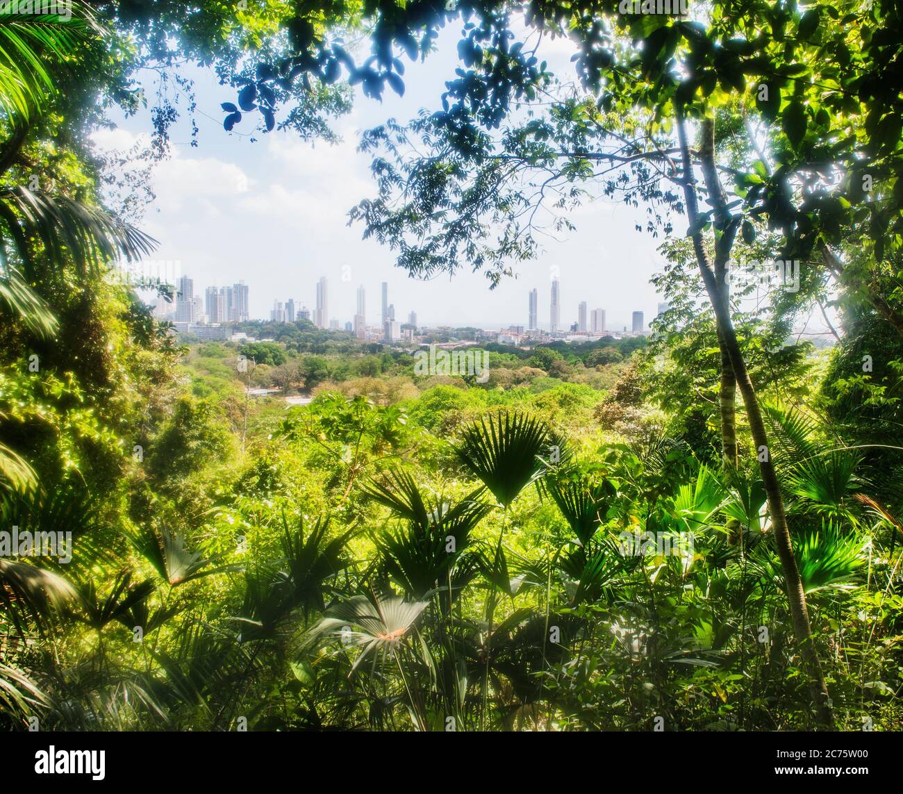 Vista de la Ciudad de Panamá desde el Parque Natural Metropolitano, Ciudad  de Panamá, Panamá, Centroamérica Fotografía de stock - Alamy