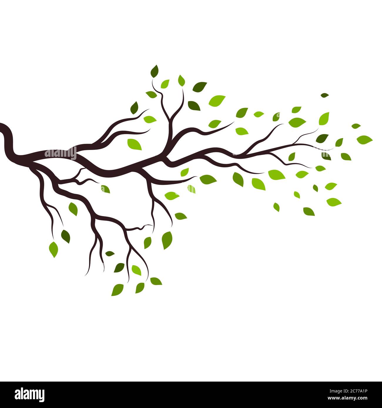 plantilla de diseño de ilustración vectorial de rama de árbol Imagen Vector  de stock - Alamy