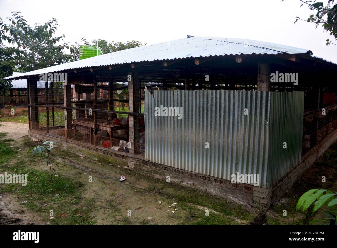 Un cobertizo de granja avícola de bajo costo hecho de hojas de estaño en la India, Bengala Occidental, enfoque selectivo Foto de stock