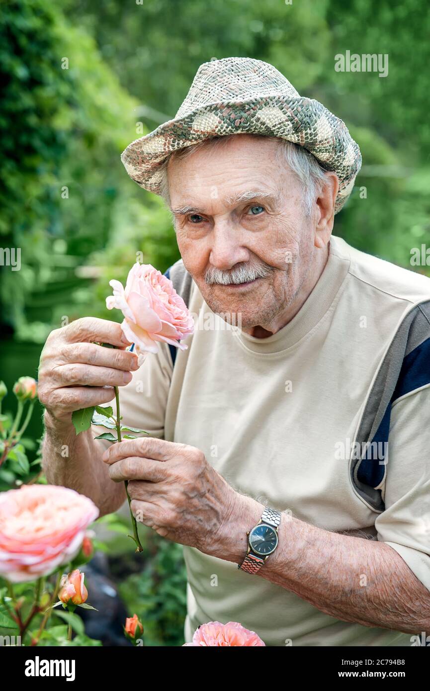 Retrato de un hombre anciano de 87 años, con rosas en su jardín. Jardinería y floricultura. Feliz edad. Foto de stock